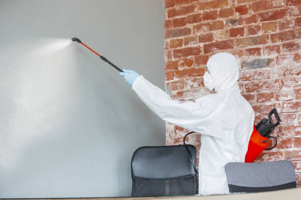 Best Post-Remediation Verification Testing  in New Kensington, PA
