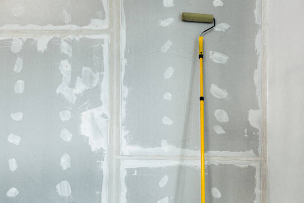 Best Mold Damage Restoration  in New Kensington, PA
