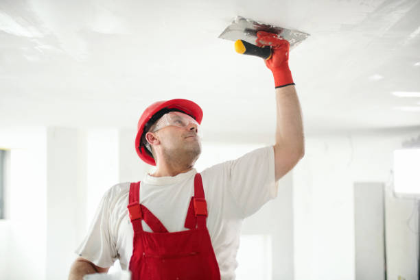 Best Emergency Mold Remediation  in New Kensington, PA